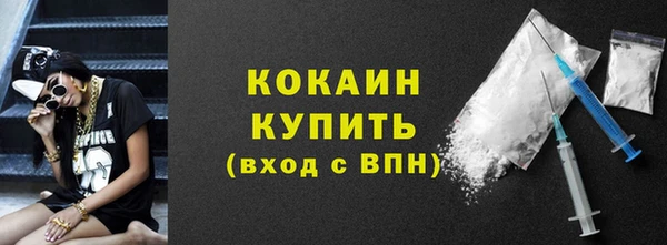 твердый Пересвет