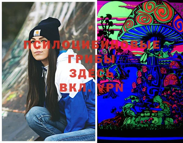 хмурый Переславль-Залесский