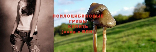 твердый Пересвет