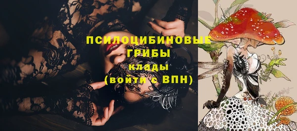 твердый Пересвет